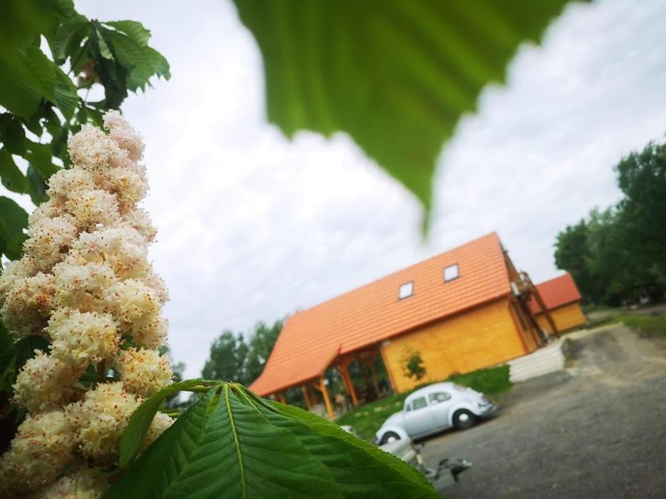 Tomajor Vendeghazak Lägenhet Tiszaeszlar Exteriör bild